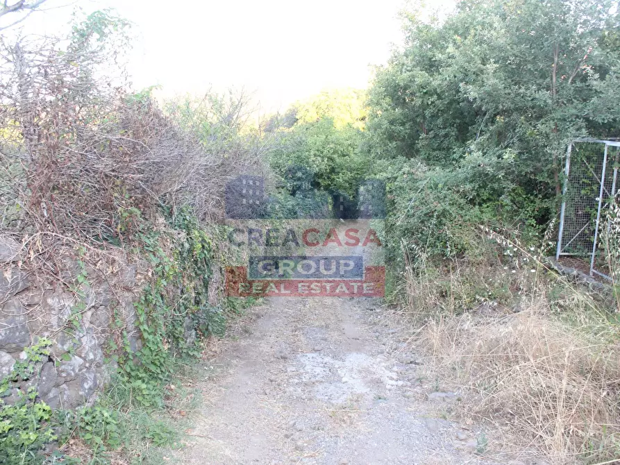 Immagine 10 di Terreno agricolo in vendita  in Contrada Gaeto a Castiglione Di Sicilia