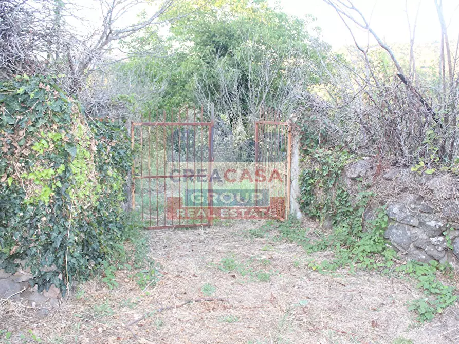 Immagine 11 di Terreno agricolo in vendita  in Contrada Gaeto a Castiglione Di Sicilia
