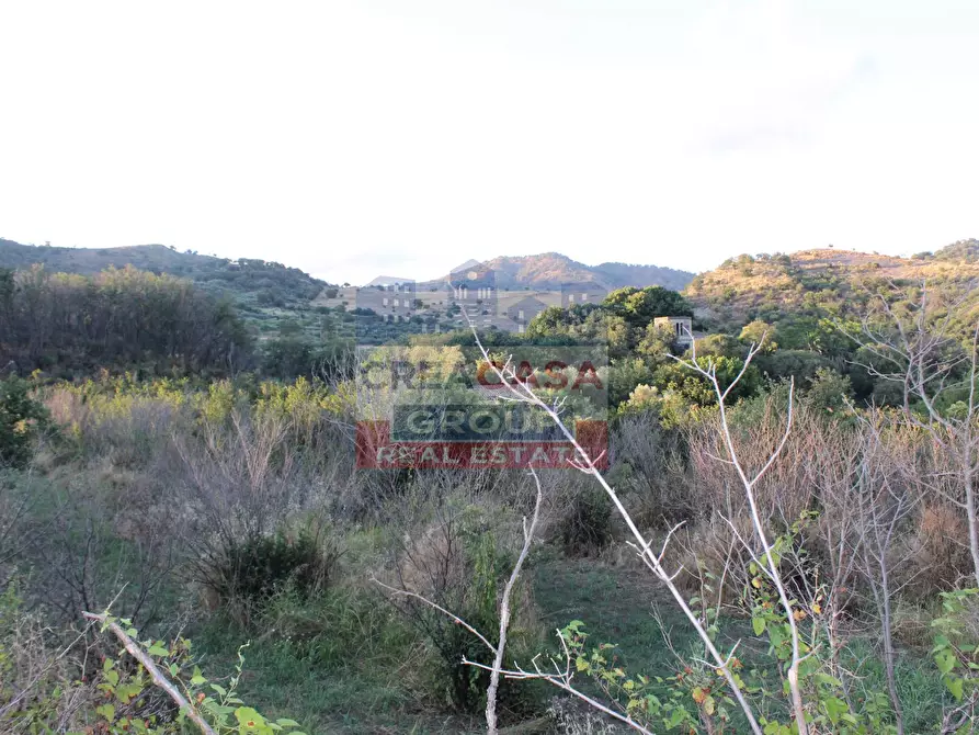 Immagine 12 di Terreno agricolo in vendita  in Contrada Gaeto a Castiglione Di Sicilia