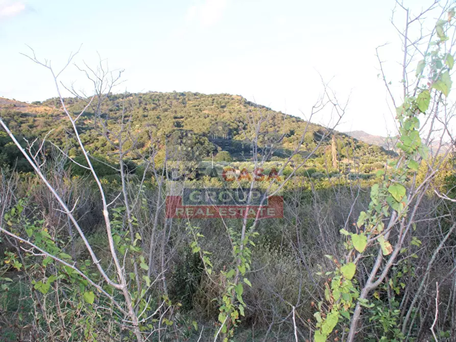Immagine 13 di Terreno agricolo in vendita  in Contrada Gaeto a Castiglione Di Sicilia