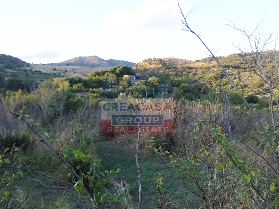 Immagine 14 di Terreno agricolo in vendita  in Contrada Gaeto a Castiglione Di Sicilia