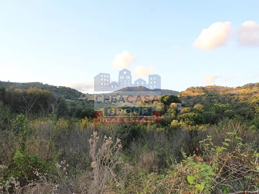 Immagine 15 di Terreno agricolo in vendita  in Contrada Gaeto a Castiglione Di Sicilia