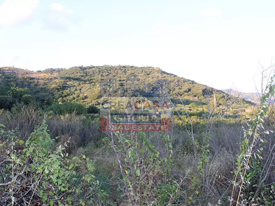 Immagine 16 di Terreno agricolo in vendita  in Contrada Gaeto a Castiglione Di Sicilia