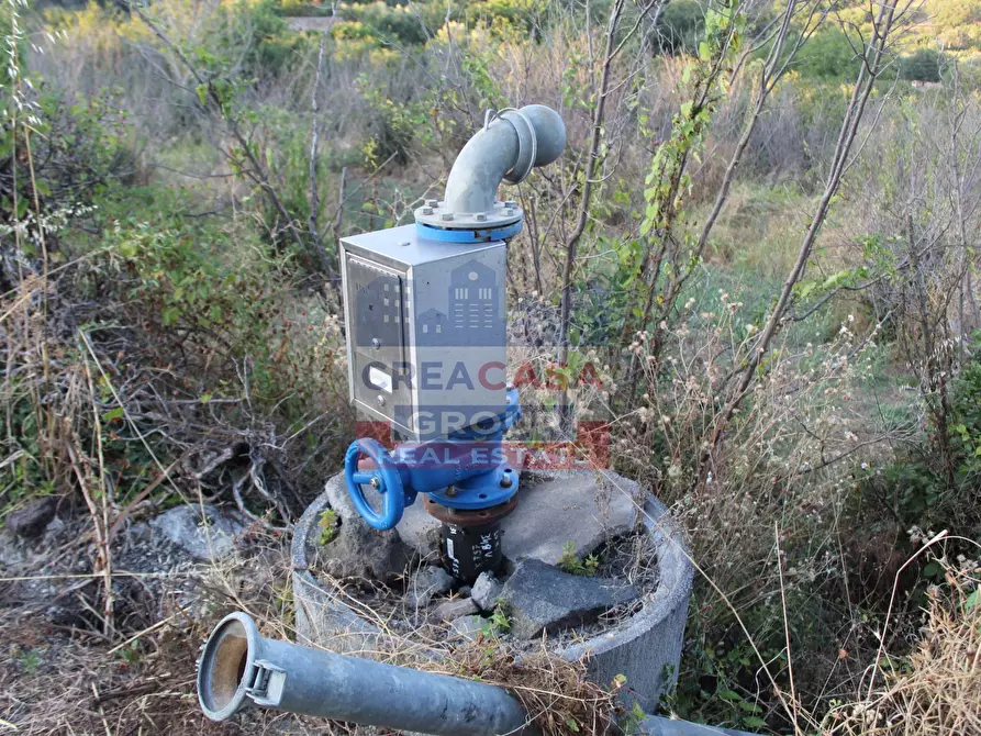 Immagine 17 di Terreno agricolo in vendita  in Contrada Gaeto a Castiglione Di Sicilia