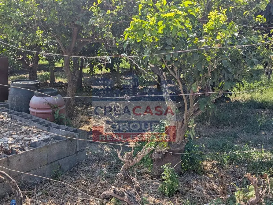 Immagine 2 di Terreno agricolo in vendita  a Calatabiano
