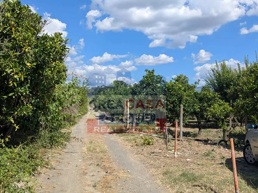 Immagine 1 di Terreno agricolo in vendita  a Calatabiano