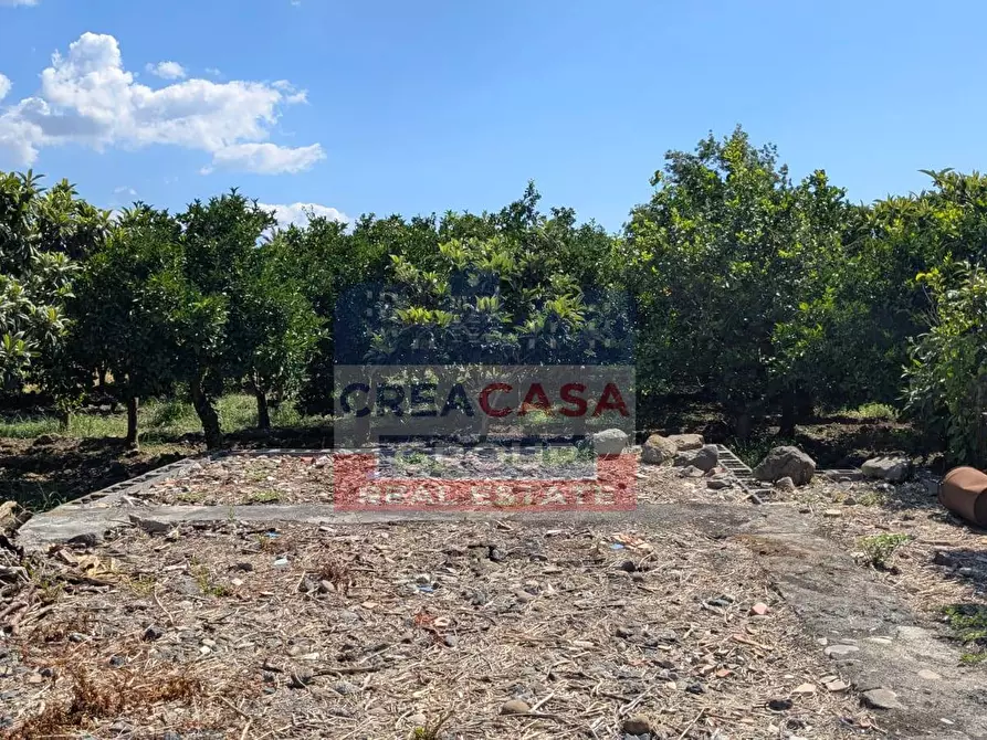 Immagine 3 di Terreno agricolo in vendita  a Calatabiano