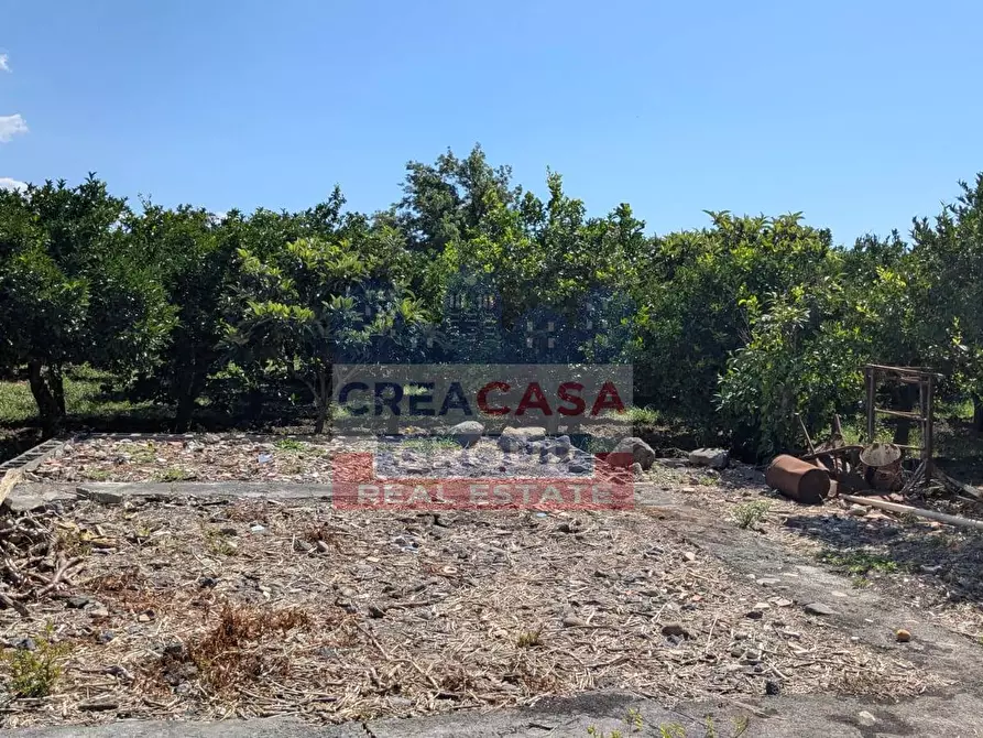 Immagine 4 di Terreno agricolo in vendita  a Calatabiano