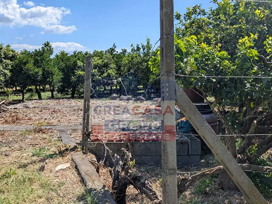 Immagine 5 di Terreno agricolo in vendita  a Calatabiano