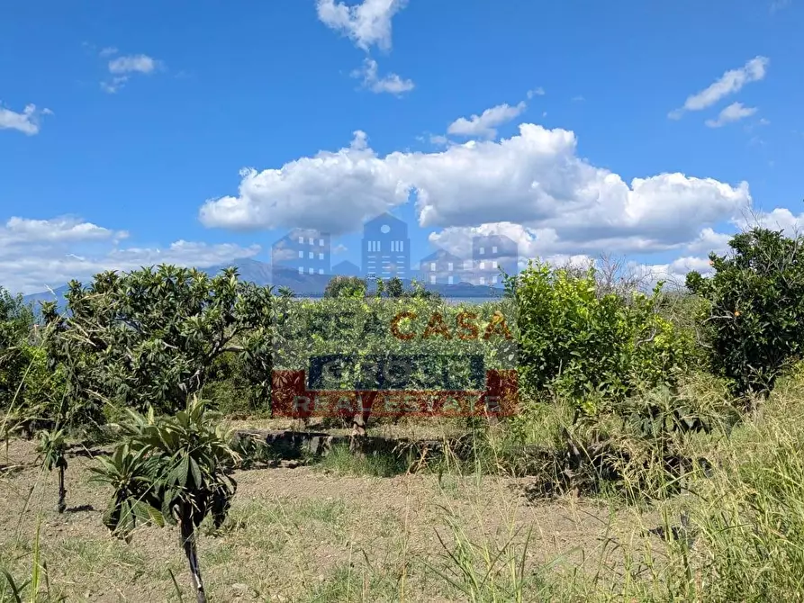 Immagine 6 di Terreno agricolo in vendita  a Calatabiano