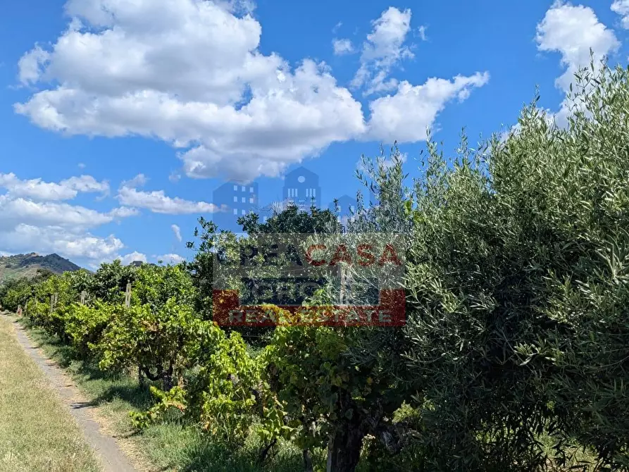 Immagine 8 di Terreno agricolo in vendita  a Calatabiano