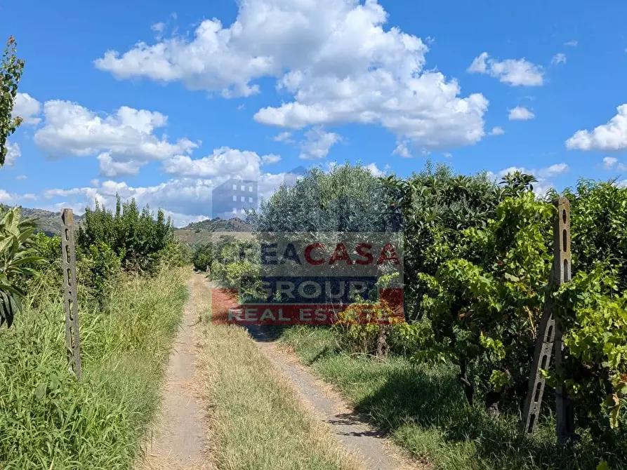 Immagine 10 di Terreno agricolo in vendita  a Calatabiano