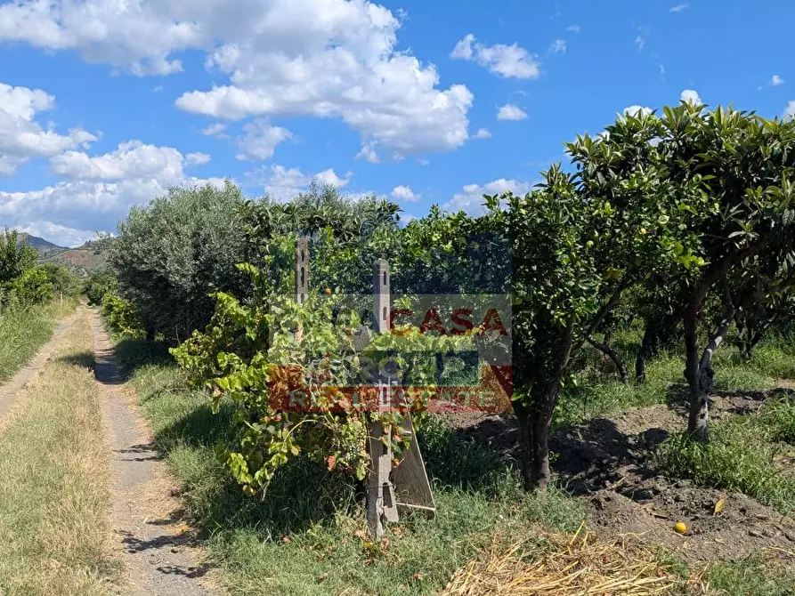 Immagine 11 di Terreno agricolo in vendita  a Calatabiano