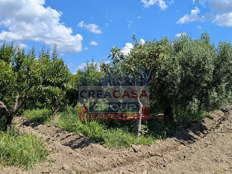 Immagine 12 di Terreno agricolo in vendita  a Calatabiano