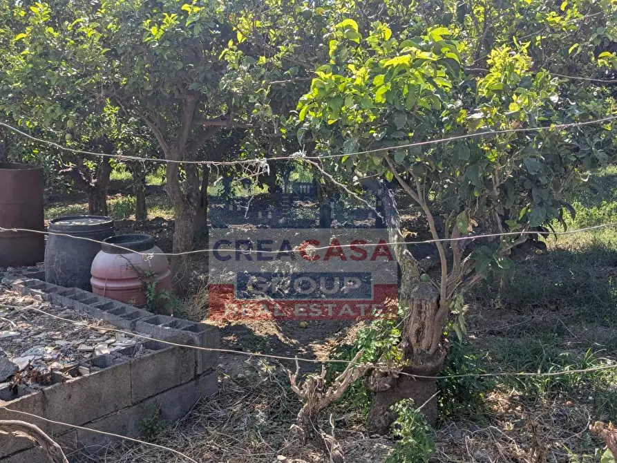 Immagine 13 di Terreno agricolo in vendita  a Calatabiano