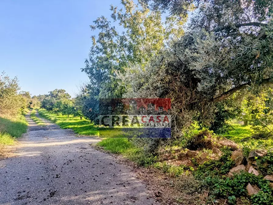 Immagine 4 di Terreno agricolo in vendita  in via Nazionale a Calatabiano