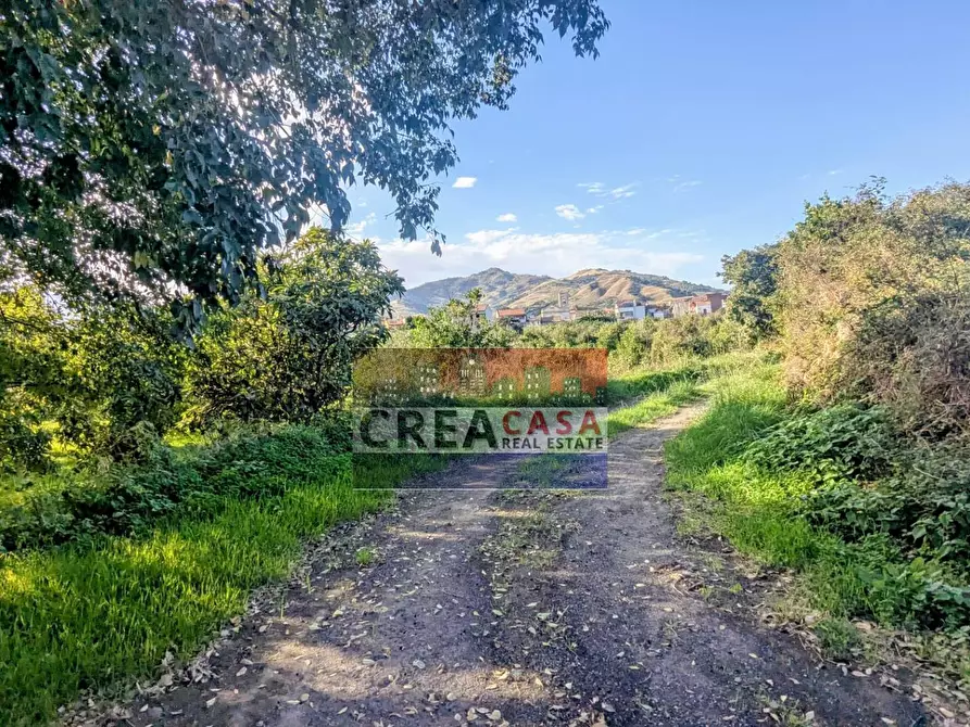 Immagine 14 di Terreno agricolo in vendita  in via Nazionale a Calatabiano