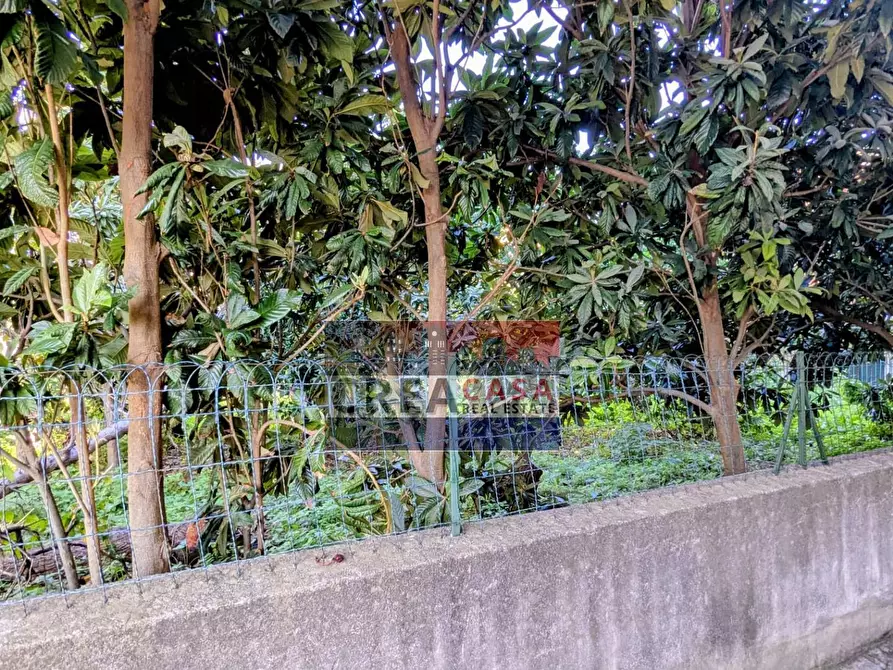 Immagine 15 di Terreno residenziale in vendita  in Alessandro Manzoni a Calatabiano