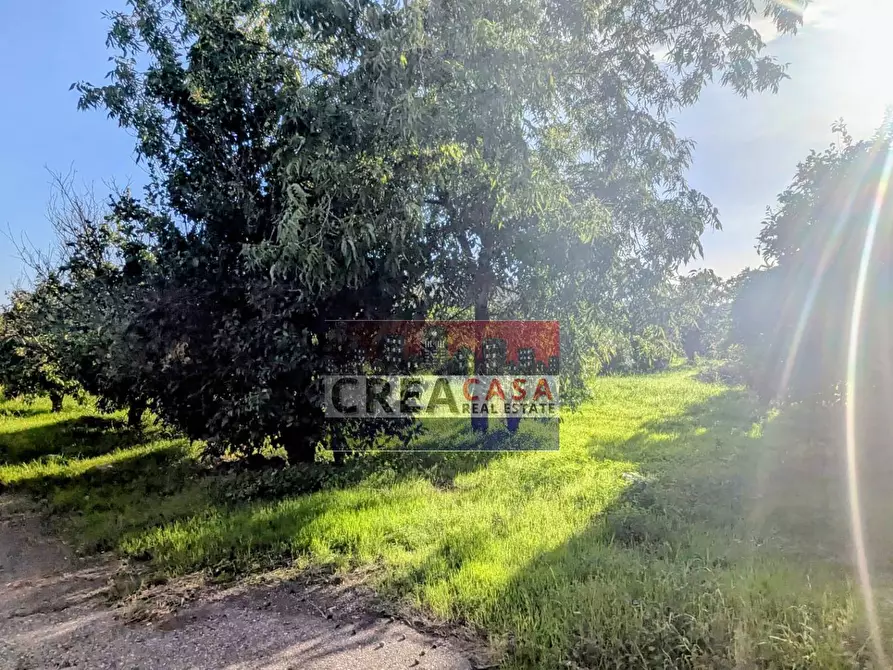 Immagine 8 di Terreno agricolo in vendita  in via Nazionale a Calatabiano
