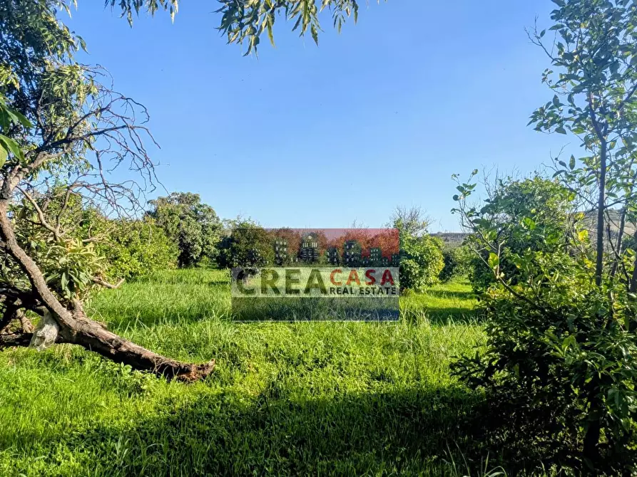 Immagine 10 di Terreno agricolo in vendita  in via Nazionale a Calatabiano