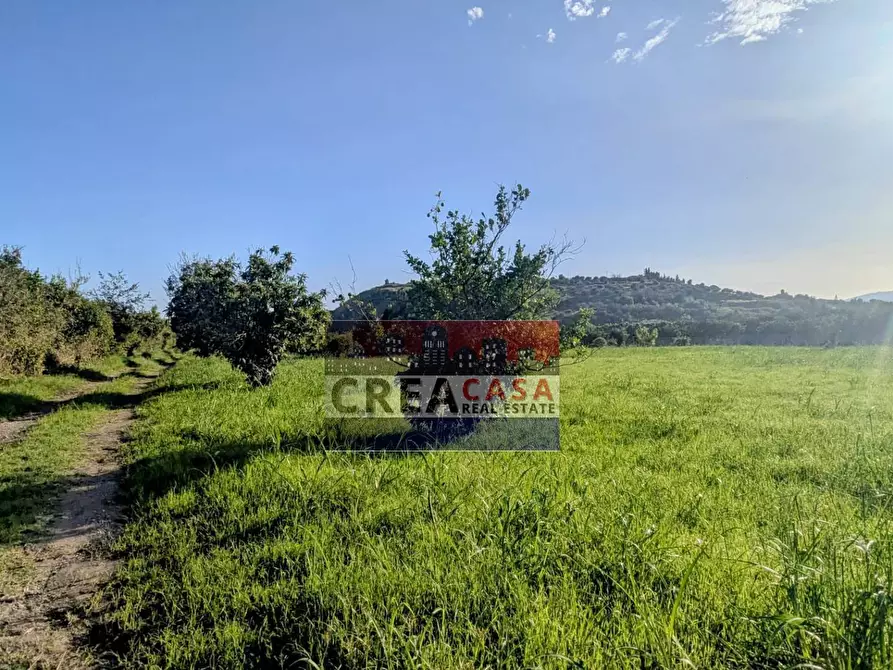 Immagine 15 di Terreno agricolo in vendita  in via Nazionale a Calatabiano