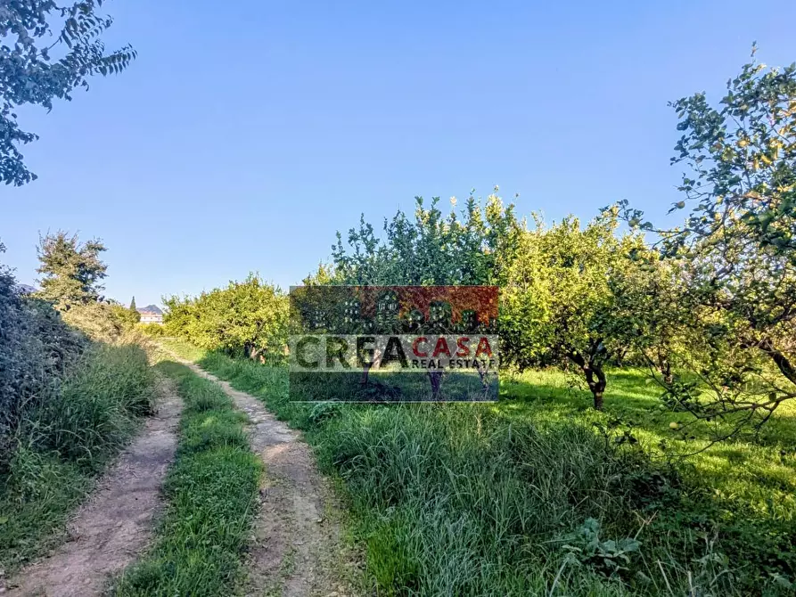 Immagine 16 di Terreno agricolo in vendita  in via Nazionale a Calatabiano