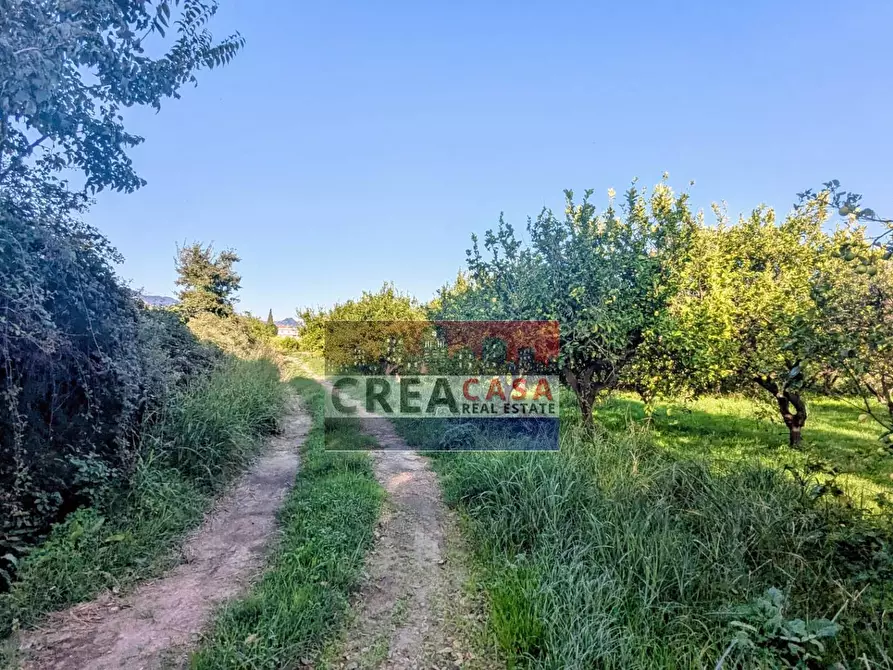 Immagine 20 di Terreno agricolo in vendita  in via Nazionale a Calatabiano