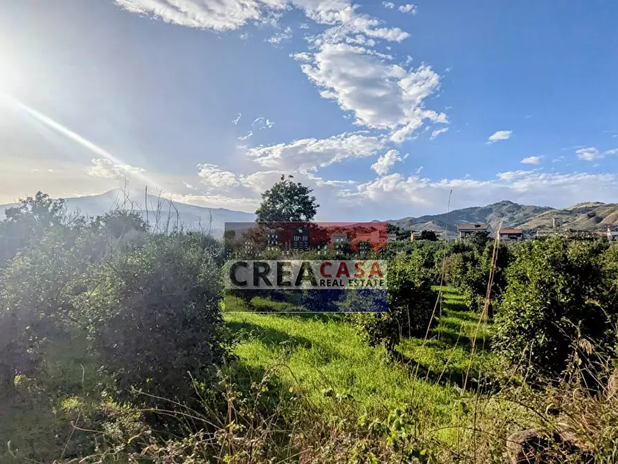 Immagine 21 di Terreno agricolo in vendita  in via Nazionale a Calatabiano
