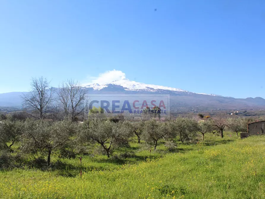 Immagine 21 di Appartamento in vendita  in Via Vittorio Veneto a Antillo