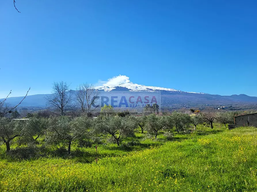 Immagine 22 di Appartamento in vendita  in Via Vittorio Veneto a Antillo