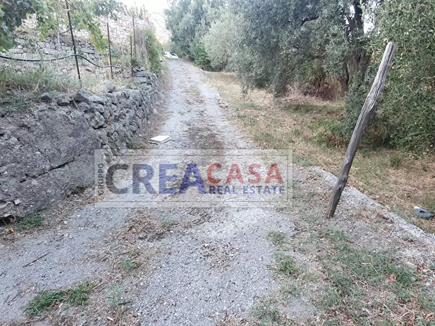 Immagine 5 di Villa in vendita  in contrada Feo a Graniti