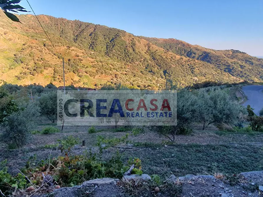 Immagine 23 di Villa in vendita  in contrada Feo a Graniti