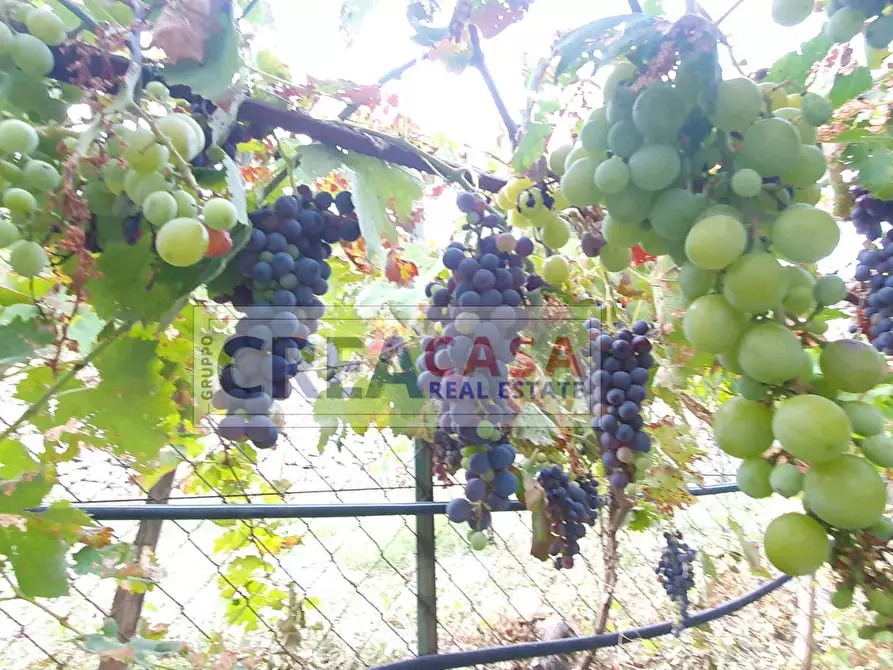 Immagine 24 di Villa in vendita  in contrada Feo a Graniti