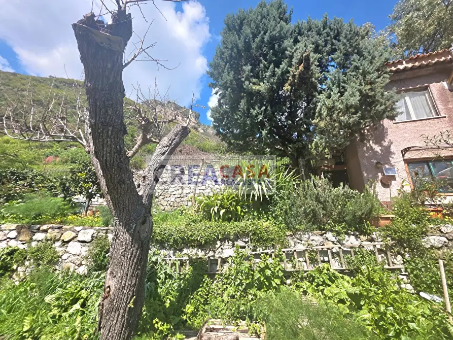 Immagine 52 di Villa in vendita  in c.da Saracena a Antillo
