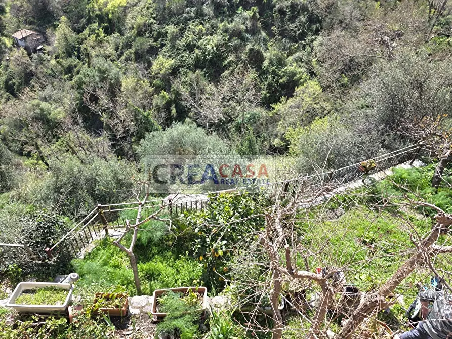 Immagine 50 di Villa in vendita  in c.da Saracena a Antillo