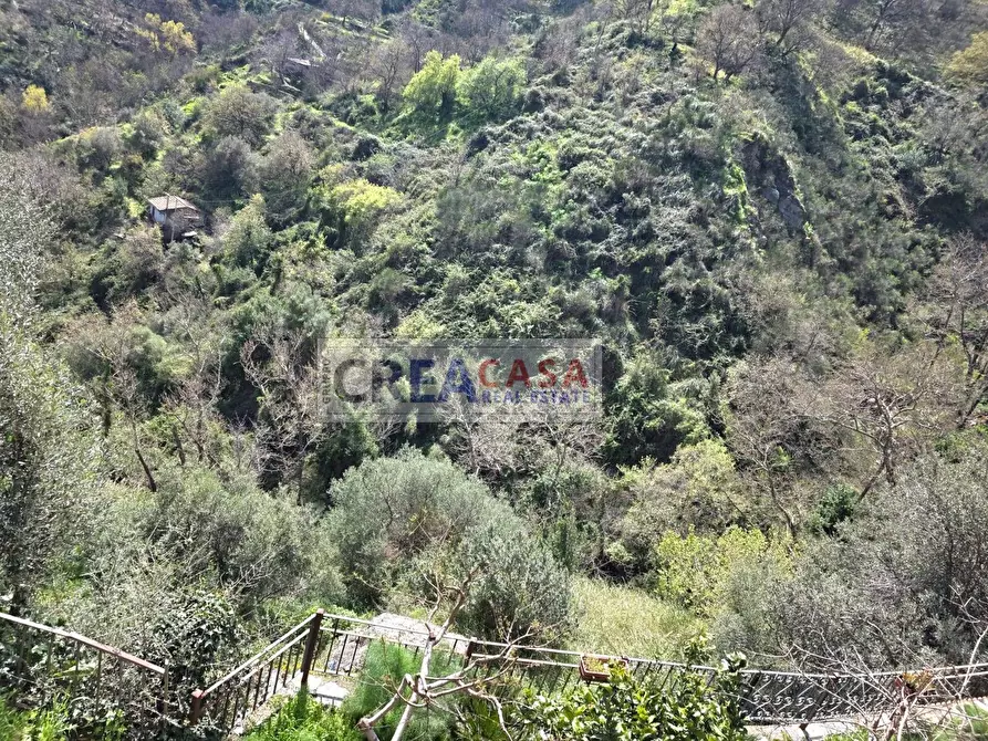Immagine 57 di Villa in vendita  in c.da Saracena a Antillo