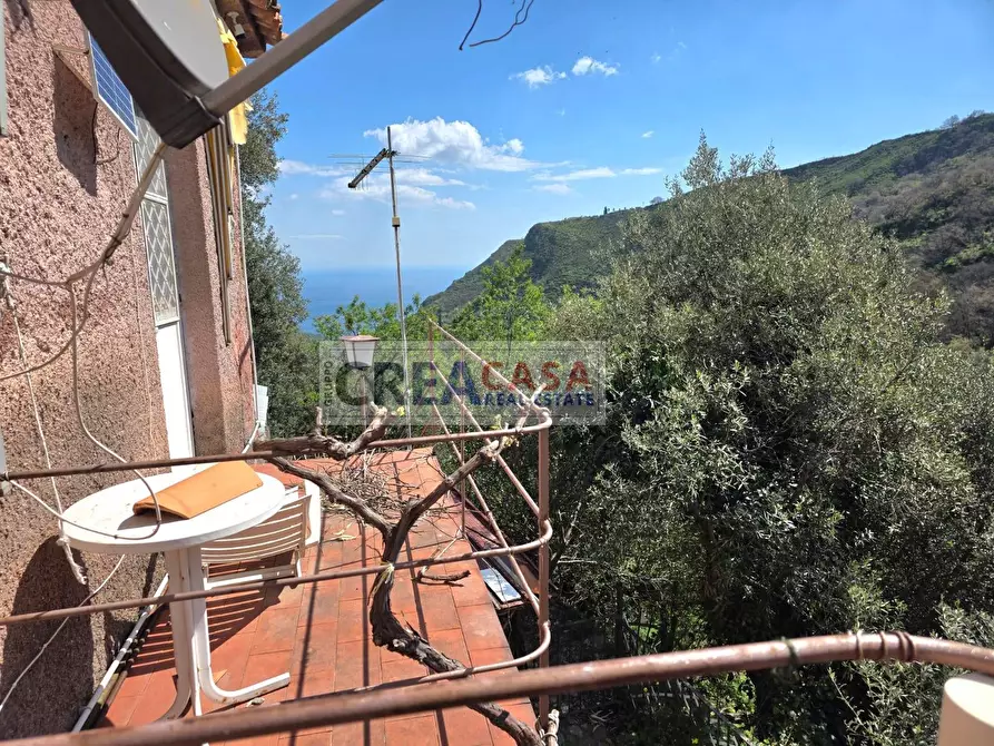 Immagine 39 di Villa in vendita  in c.da Saracena a Antillo