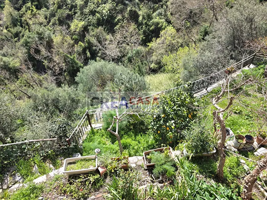Immagine 60 di Villa in vendita  in c.da Saracena a Antillo