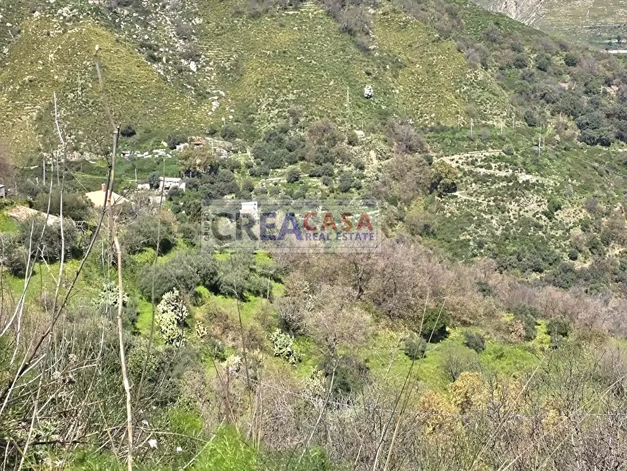 Immagine 61 di Villa in vendita  in c.da Saracena a Antillo