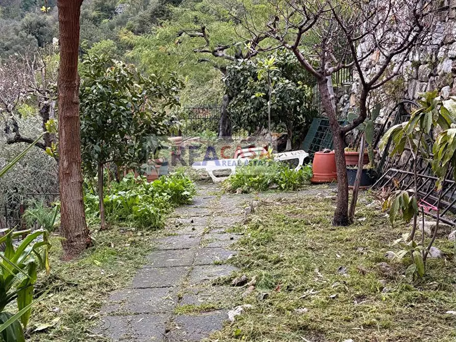 Immagine 63 di Villa in vendita  in c.da Saracena a Antillo