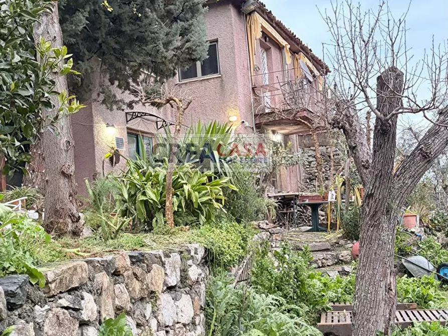 Immagine 66 di Villa in vendita  in c.da Saracena a Antillo