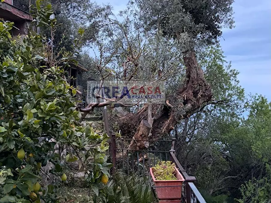Immagine 68 di Villa in vendita  in c.da Saracena a Antillo