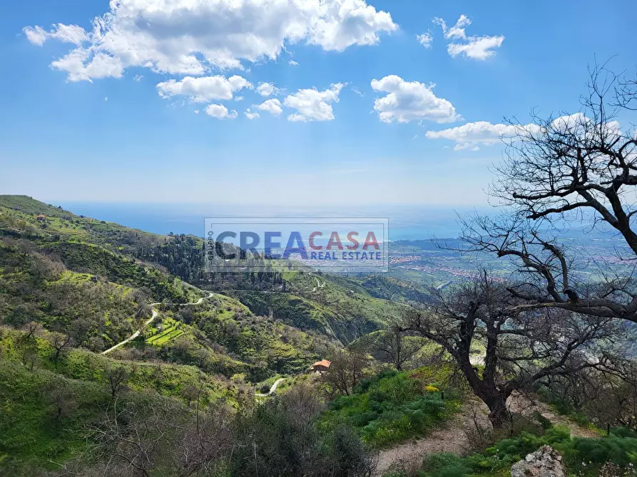Immagine 3 di Terreno agricolo in vendita  a Antillo