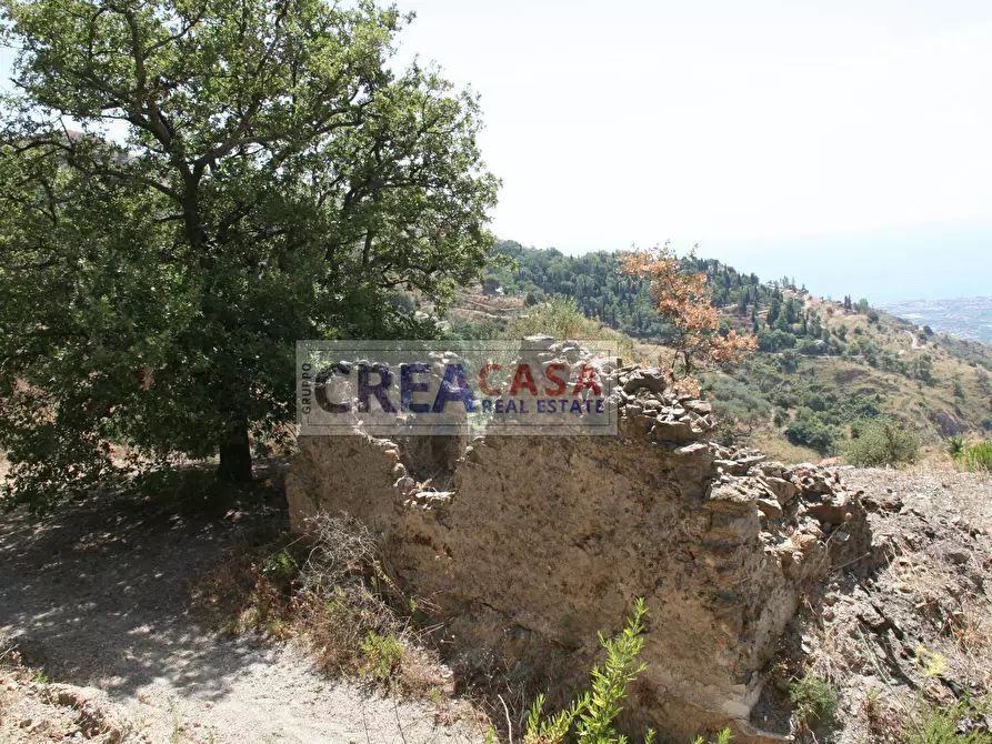 Immagine 10 di Terreno agricolo in vendita  a Antillo