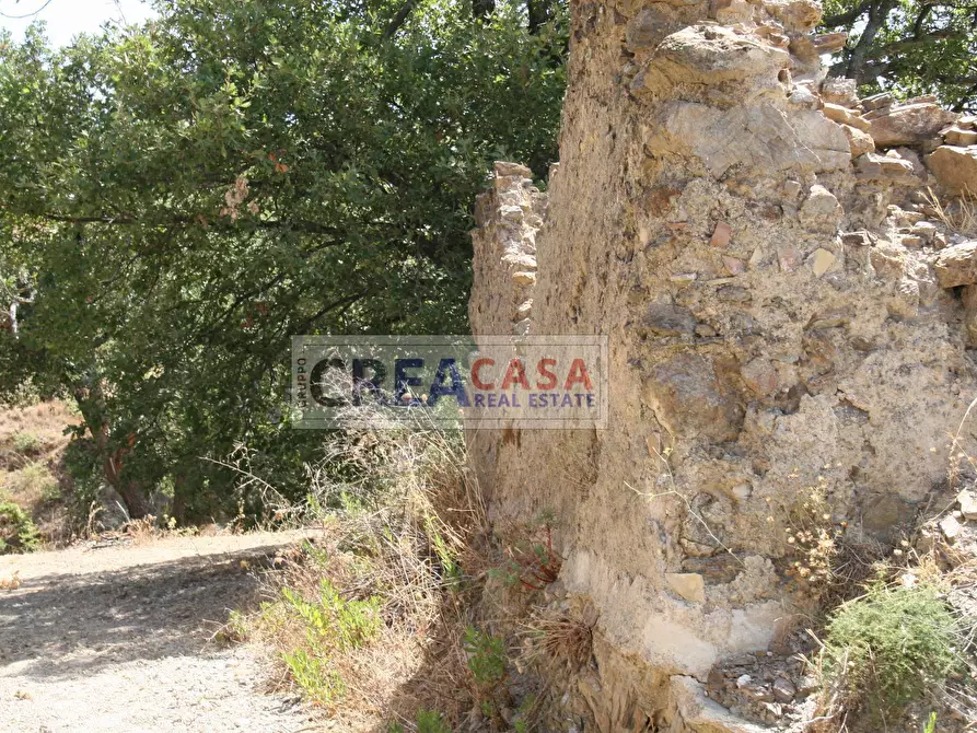 Immagine 11 di Terreno agricolo in vendita  a Antillo