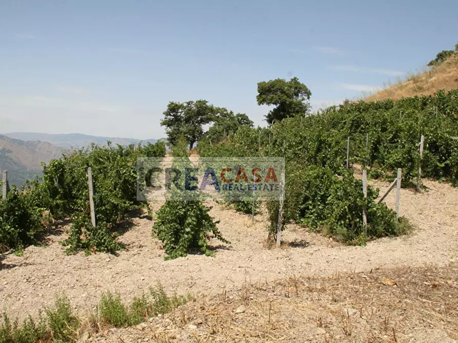 Immagine 13 di Terreno agricolo in vendita  a Antillo