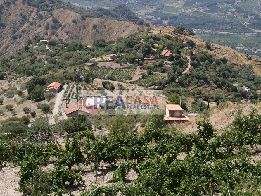 Immagine 14 di Terreno agricolo in vendita  a Antillo