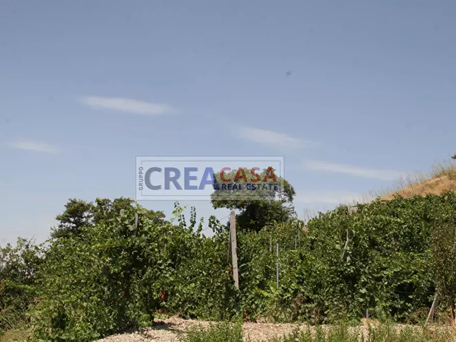 Immagine 15 di Terreno agricolo in vendita  a Antillo