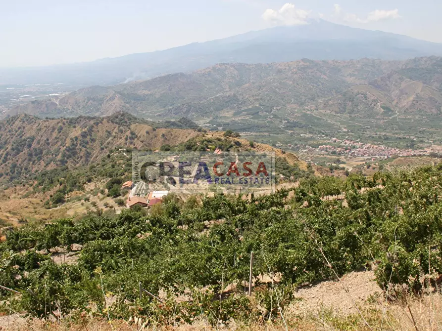 Immagine 17 di Terreno agricolo in vendita  a Antillo