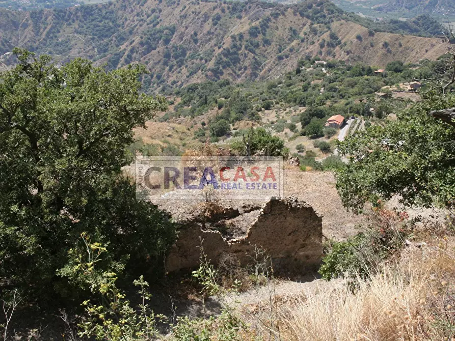Immagine 18 di Terreno agricolo in vendita  a Antillo